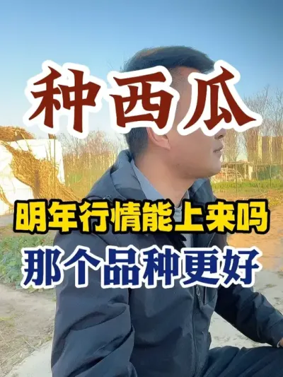 ��������������������ѡʲôƷ�ֽ����� #����ݪֲ #����ݪֲ���� #ݪֲС���� #����ũҵС֪ʶ