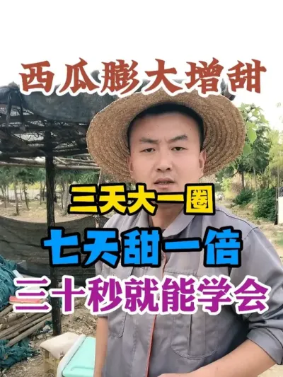 西瓜三天瓜大一圈七天瓜甜一倍膨大增甜三十秒就能学会 #西瓜种植 #农业种植 #种植小技巧 #传播农业小知识 #分享农业知识帮农民增产增收