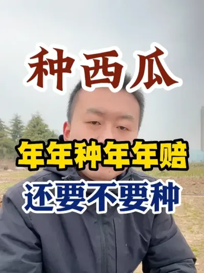 种西瓜年年种年年赔还要不要种 #西瓜种植 #西瓜种植技术 #种植小技巧 #传播农业小知识