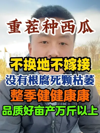 �ز�������ϲ����ز��޽�û�и�������Ķ��������� #����ݪֲ #ݪֲС���� #����ݪֲ���� #����ũҵС֪ʶ