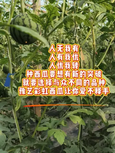 2026��ԥ�ղʺ�˺��������ȶ������������׼���ּ����� #ԥ�ղʺ����� #�ʺ�˺� #�ʺ�����#ԥ������