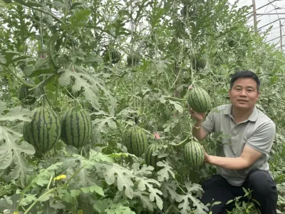 ԥ�ղʺ����������ϵ����¶�һ���ʺ磡#�ʺ����� #����? #��ɫũ��Ʒ #���ʲ�ժ #��ժ԰