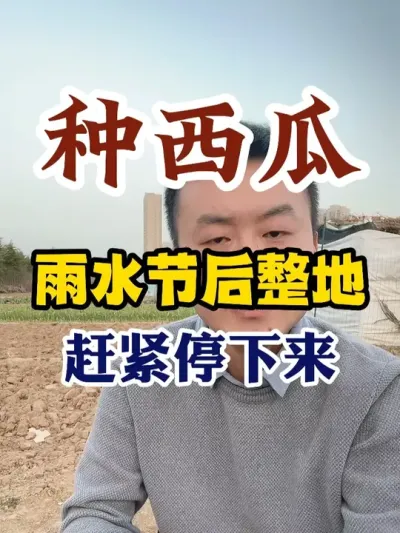 种西瓜雨水节后整地的老乡赶紧停下来 #西瓜种植 #西瓜种植技术 #种植小技巧 #传播农业小知识