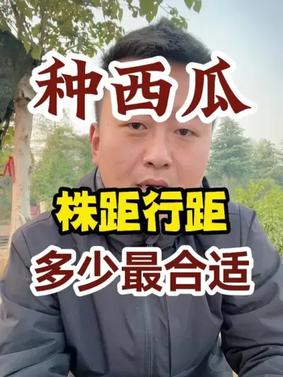 ����������о༸������� #����ݪֲ #ũҵݪֲ #ݪֲС���� #����ũҵС֪ʶ