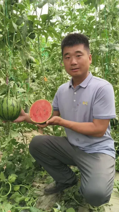 ԥ��Сħ������ְ�Ƥ��Բ��С���������ȿ���ִ�ˬ�����Ƕȸ��������Ժã�#ԥ��Сħ�� #ԥ������ #С���� #��������