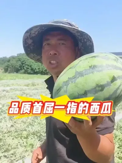 Ϊʲôݪֲ��˵��ѹ��һ�е�������һ������ݪֲ��ԥ��������ʲô�������������#��ԥ���� #ԥ������ #�������� #�������� #������ũ��ũ