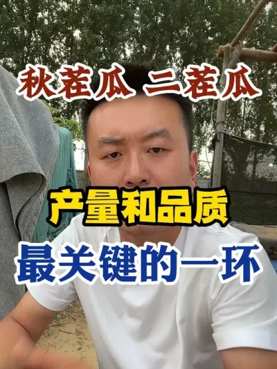 秋茬瓜二茬瓜产量和品质最关键的一环 #西瓜种植 #农业种植 #种植小技巧 #传播农业小知识 #分享农业知识帮农民增产增收