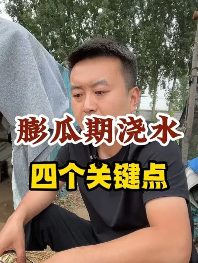 西瓜膨瓜期浇水四个关键点 #西瓜种植 #农业种植 #种植小技巧 #传播农业小知识 #分享农业知识帮农民增产增收