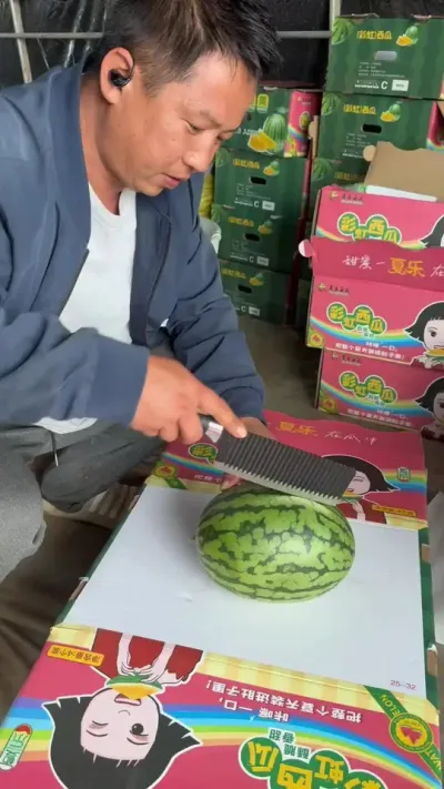 2026年海南第二批彩虹八号西瓜成熟啦，你想吃吗？口感酥脆诱人，糖度达到14度。#彩虹八号 #彩虹西瓜 #豫艺西瓜 #我为家乡农产品代言 #黄瓤西瓜