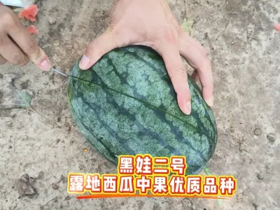 ԥ�պ��޶�����һ���ϱ�ͨ�������������ͺ��Ĵ��ȿ��������Ʒ�֣��ɵ����ɵ��������Ѻ������ȿ������������#ԥ�պ��޶��� #ԥ������ #��Ƥ���� #4K���� #ԥ����ȭ��