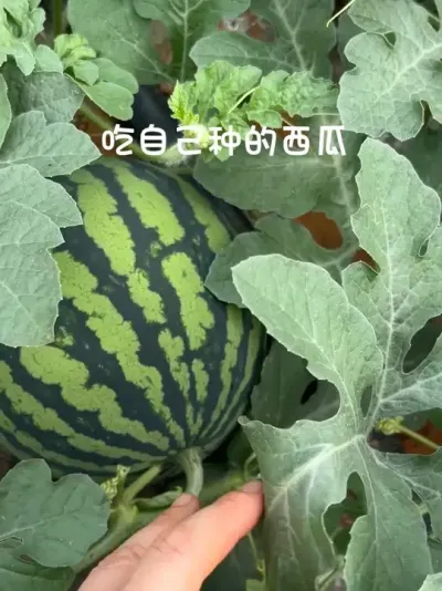 �ҵ�����#�ҵ���������