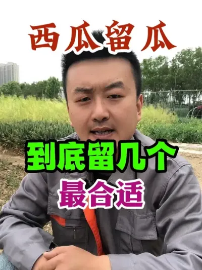 西瓜留瓜到底留几个最合适 #西瓜种植 #农业种植 #种植小技巧 #传播农业小知识 #分享农业知识帮农民增产增收