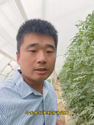 ������ݪֲ�Ĳʺ�˺ź�ԥ��L29����ģʽ��