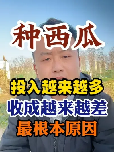 ����������Ͷ��Խ��Խ���ջ�Խ��Խ�� #����ݪֲ #����ݪֲ���� #ݪֲС����