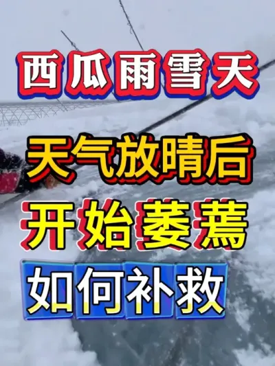 �����������������ή�� �������� #������  #����ݪֲ #����ݪֲ #����ݪֲ  #����ݪֲ  #��������#8424����