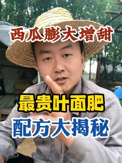 西瓜膨大增甜最贵叶面肥大揭秘 #西瓜种植 #农业种植 #种植小技巧 #传播农业小知识 #分享农业知识帮农民增产增收