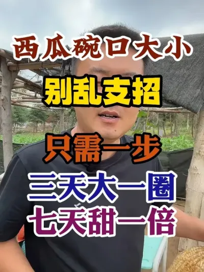 西瓜碗口大小别乱支招只需一步三天大一圈七天甜一倍 #西瓜种植 #农业种植 #种植小技巧 #传播农业小知识 #分享农业知识帮农民增产增收
