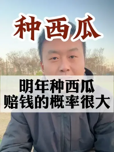 明年种西瓜很大概率要赔钱 #西瓜种植 #农业种植 #种植小技巧 #传播农业小知识 #分享农业知识帮农民增产增收