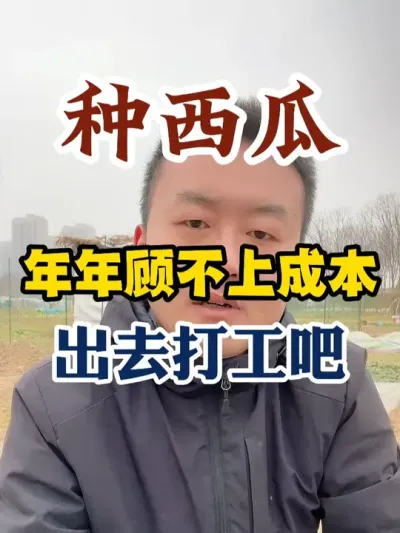 种西瓜年年顾不上成本出去打工算了 #西瓜种植 #西瓜种植技术 #种植小技巧 #传播农业小知识