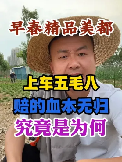 早春精品美都上车五毛八赔的血本无归究竟是为何 #西瓜种植 #农业种植 #种植小技巧 #传播农业小知识 #分享农业知识帮农民增产增收