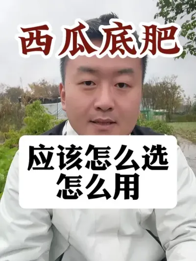 ���ϵ׷�Ӧ����ôѡ��ô�� #����ݪֲ #ũҵݪֲ #ݪֲС���� #����ũҵС֪ʶ #����ũҵ֪ʶ��ũ����������