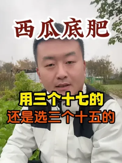 ���ϵ׷���������ʮ�ߵ��վ�����ʮ��� #����ݪֲ #ũҵݪֲ #ݪֲС���� #����ũҵС֪ʶ #����ũҵ֪ʶ��ũ����������