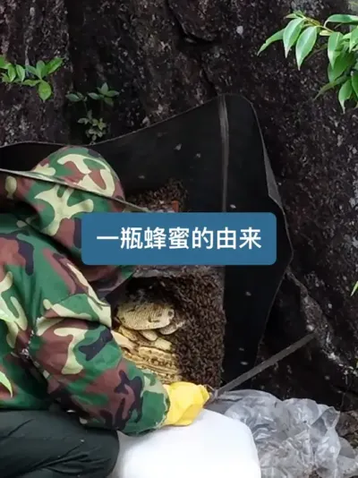 ��������ɽ���޷���������Ұ�����۷���ʵ��̫���ˣ� #�ҵ��������� #����Ȼ������ #���� #��ũ������2025