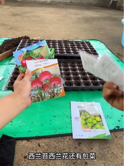 ��С��԰����������Ҫ������С����Ʒ�ֺ�ʮ�ֻ��ƵĲ����Լ��ֲ�һ�����Լ�ϲ����ѽ#С��԰ #��ũ�� #����