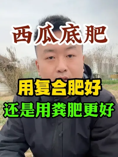 西瓜底肥是用复合肥好还是粪肥好 #西瓜种植 #西瓜管理 #种植小技巧 #传播农业小知识
