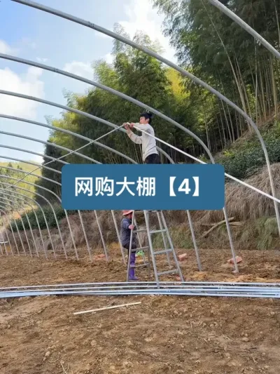接后续，来看下我花了8700块网购的大棚，这下安逸了 #种植 #番茄 #新农人计划2025