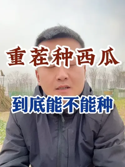 �ز�������Ͼ����ܲ����� #����ݪֲ #ݪֲС����#����ũҵС֪ʶ #����ũҵ֪ʶ��ũ����������