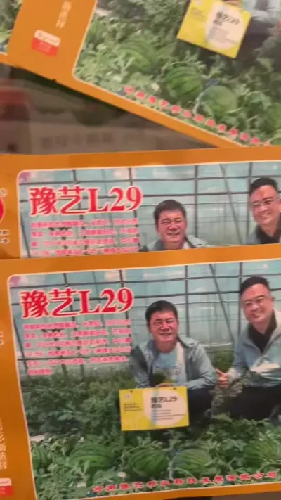 豫艺L29西瓜正常火爆热销中