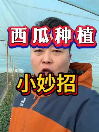 ����ݪֲС���� #����ݪֲ #������ #����ݪֲ #�������� #8424����