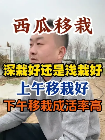 ���������������Ժ��վ��������Գɻ��ʸ����Ժ��վ�ǳ�Ժ� #����ݪֲ #ݪֲС���� #����ݪֲ���� #����ũҵС֪ʶ