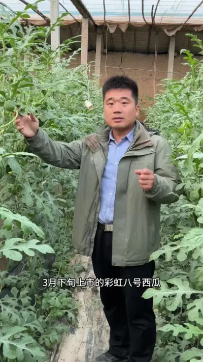 3����Ѯݪֲ�Ĳʺ�˺�������Թ�����#�ʺ�˺� #ԥ������ #�ʺ����� #��������� #��������