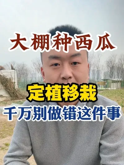 种西瓜定植移栽千万别做错这件事 #西瓜种植 #种植小技巧 #西瓜种植技术 #传播农业小知识