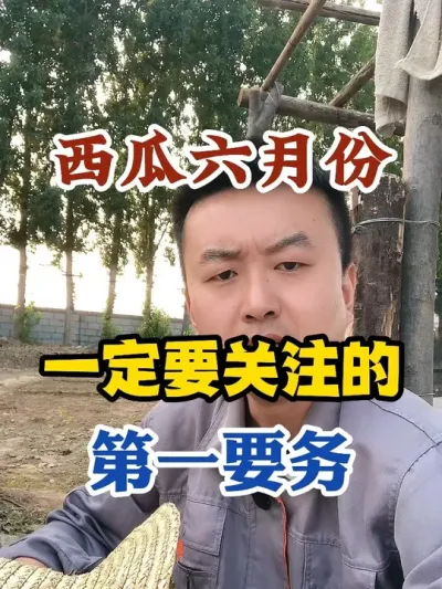 西瓜六月份一定要关注的第一要务 #西瓜种植 #农业种植 #种植小技巧 #传播农业小知识 #分享农业知识帮农民增产增收