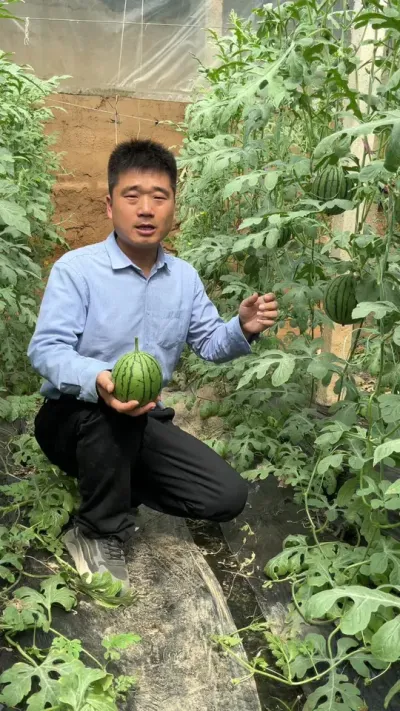 һ���˵���ֻ��һС��˽�ҳԹ�������Ʒ������ζ�ʿڵĺóԵ����������������������#ԥ������#�ʺ�˺�#�ʺ�����#���������