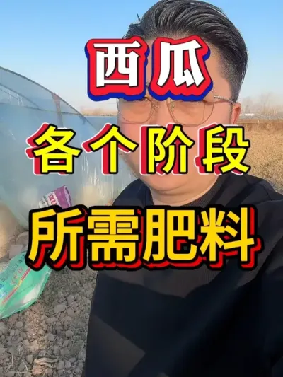 ���ϸ����׶�������� ���̻� #����ݪֲ #������ #����ݪֲ #�������� #8424����