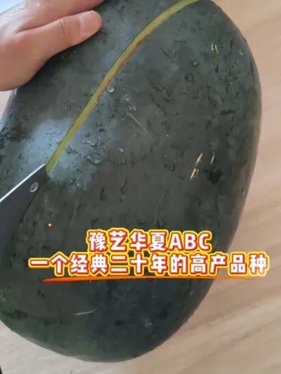 ԥ����ԭABC��һ�����������ϸ��е����ĸ�Ʒ������������ˮ�����º�����������Ƿ������Խ��Խ�ó��������Ĵ��ȿ������#��Ƥ���� #ԥ����ȭ�� #ԥ������ #¶������ #��������