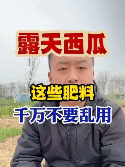 露天西瓜这些肥料千万不要乱用 #西瓜种植 #西瓜种植技术 #种植小技巧 #传播农业小知识