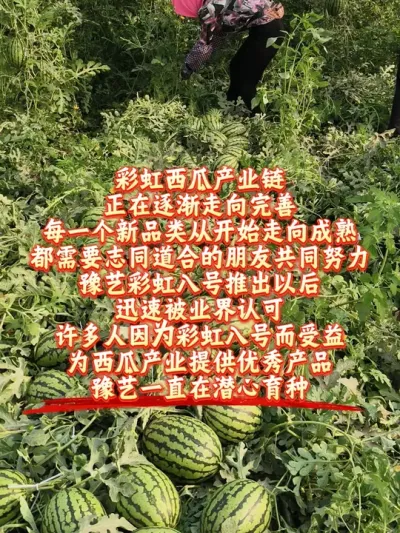 2026��ԥ�ղʺ�˺��������ȶ����ˣ���׼���ּ�����#�ʺ�˺�#�ʺ����� #ԥ������ #���������