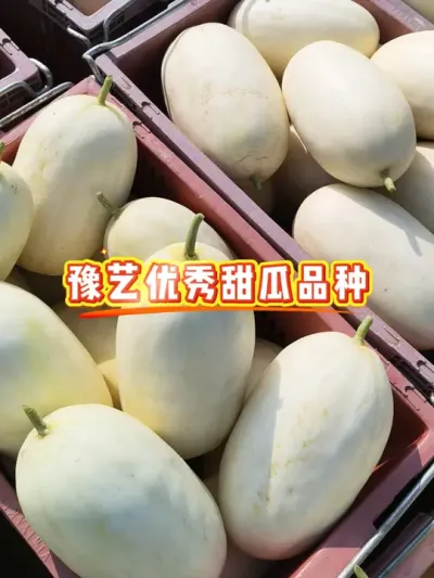 ԥ�������������Ʒ�֣�#��Ƥ��� #ԥ����� #����ũ��Ʒ #���