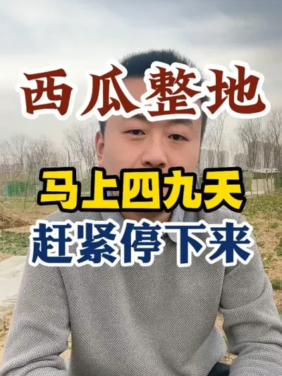 马上四九天给西瓜整地的赶紧停下来 #西瓜种植 #西瓜种植技术 #种植小技巧 #传播农业小知识