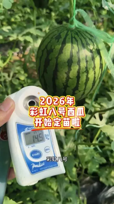 ԥ�ղʺ�˺�����2026������������ʽ��������ʹ��ԥ�ղʺ�˺������������й��ʺ�����ȫ��ҵ���Ŷ����Ӵ�־ͬ־�ϵ���٭���룡#�ʺ�˺� #ԥ������ #�ʺ����� #ũҵݪֲ #���������