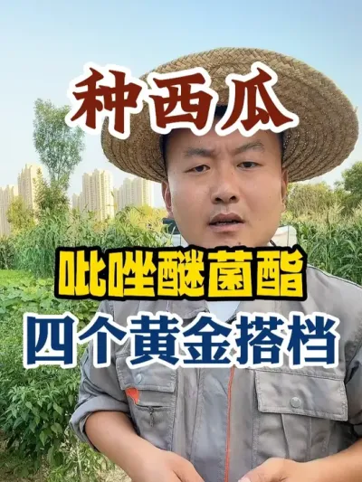 �����������Ѿ����ĸ��ƽ��� #����ݪֲ #ũҵݪֲ #ݪֲС����С���� #����ũҵС֪ʶ #����ũҵ֪ʶ��ũ����������