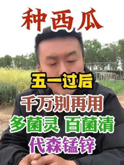 种西瓜五一之后千万别用多菌灵百菌清和代森锰锌了 #西瓜种植 #农业种植 #种植小技巧 #传播农业小知识 #分享农业知识帮农民增产增收