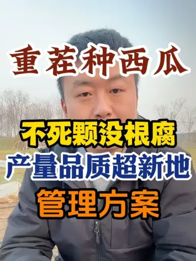 �ز������ϲ�����û��������Ʒ�ʳ��µع����ƻ� #����ݪֲ #����ݪֲ���� #ݪֲС���� #����ũҵС֪ʶ