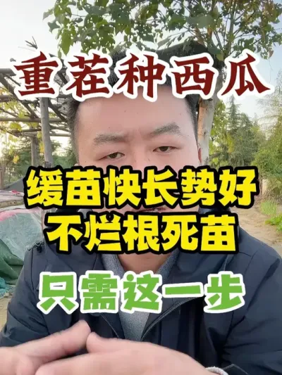 �ز�������ϻ���쳤�ƺò��ø�����ֻ��������һ�� #����ݪֲ #ũҵݪֲ #ݪֲС���� #����ũҵС֪ʶ