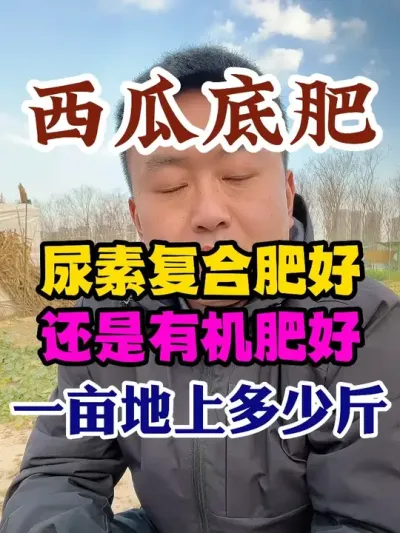 ���ϵ׷ʾ���ʹ�����ظ��Ϸʺ��վ��л��ʺ�ÿĶ���ü��� #����ݪֲ #����ݪֲ���� #ݪֲС���� #����ũҵС֪ʶ